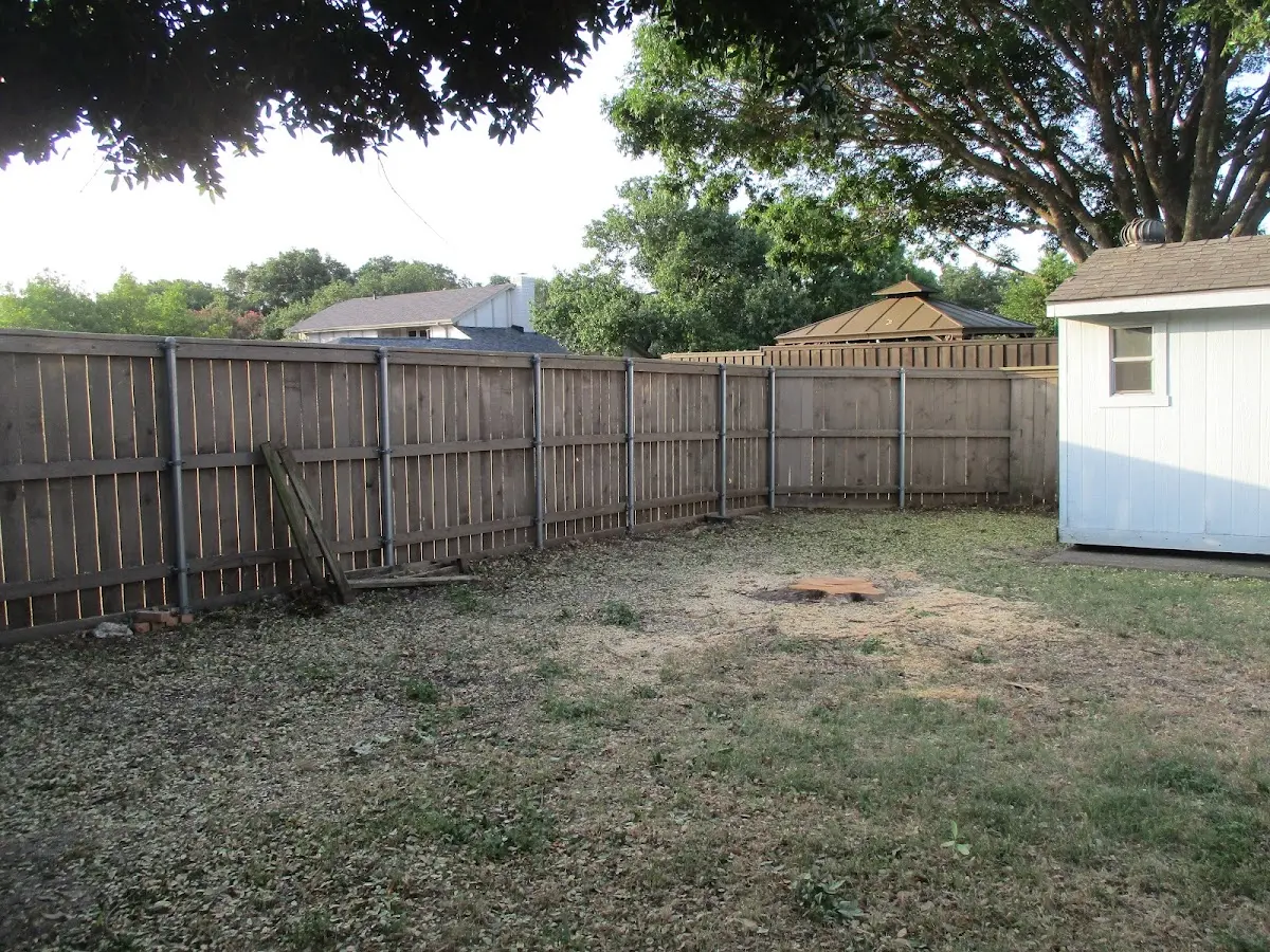 Cleared yard after professional tree removal in Waimanalo